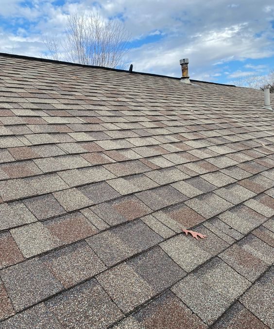 Roofing House Services